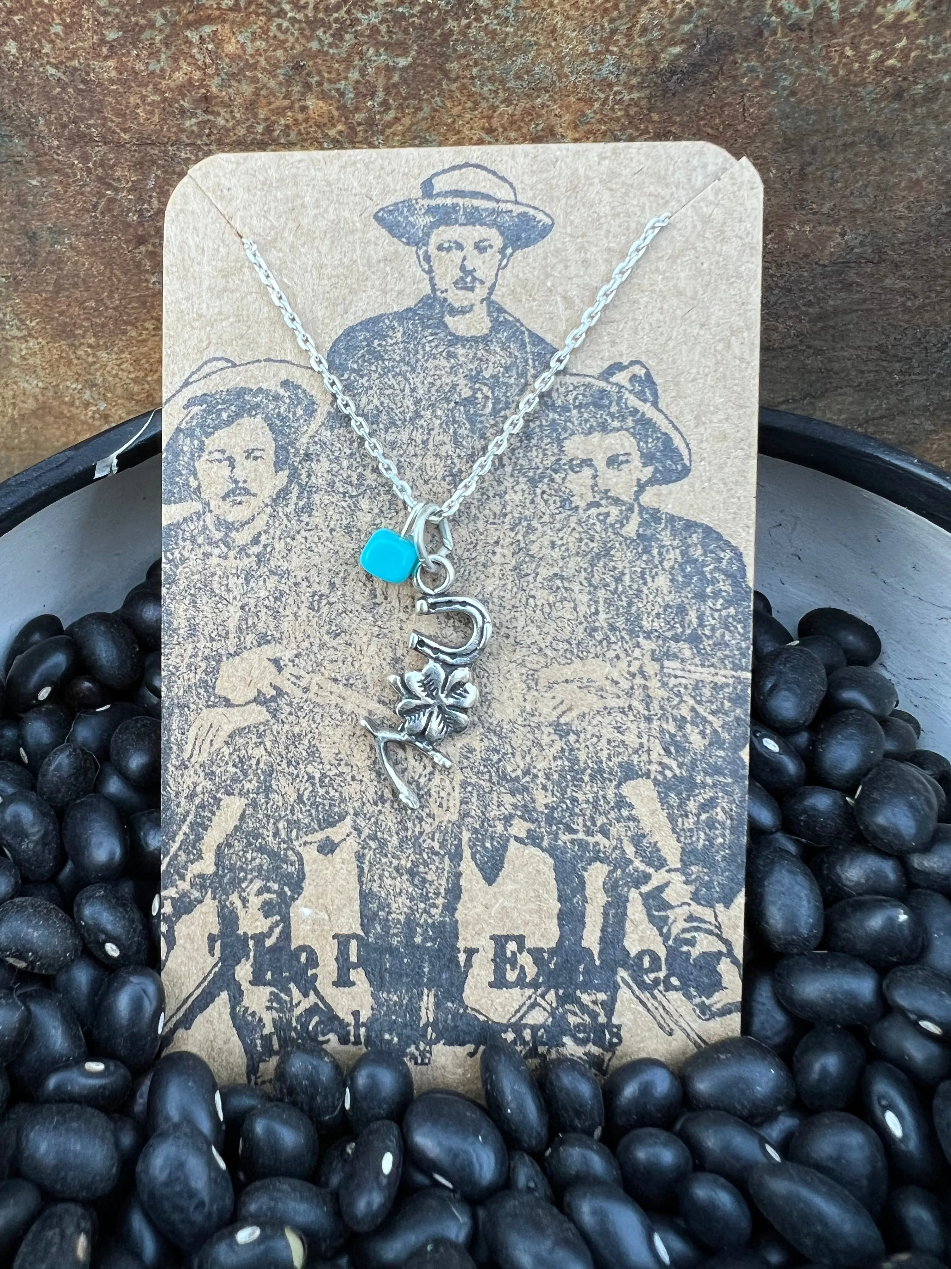 $25 Turquoise Charm Necklace