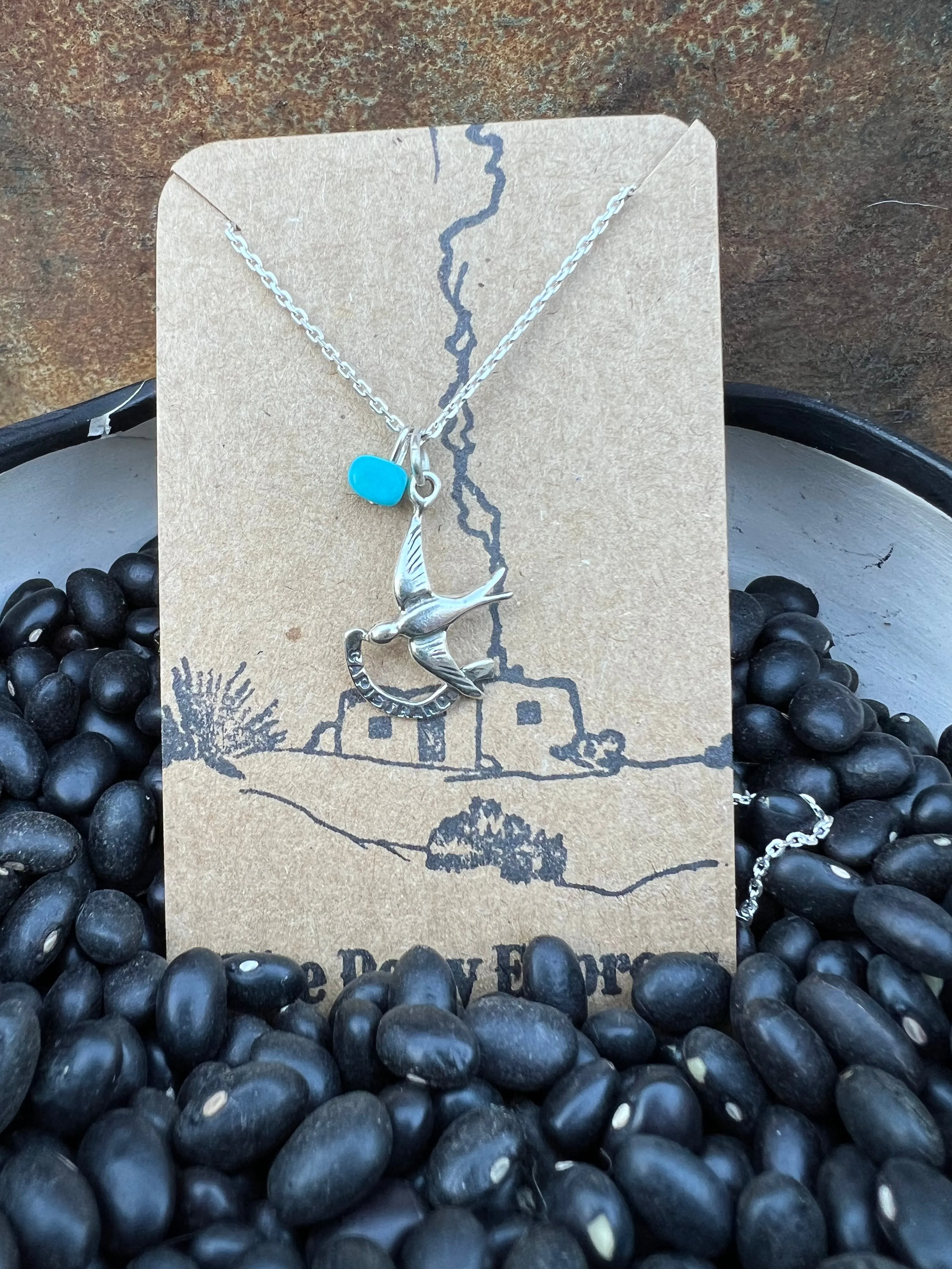 $25 Turquoise Charm Necklace