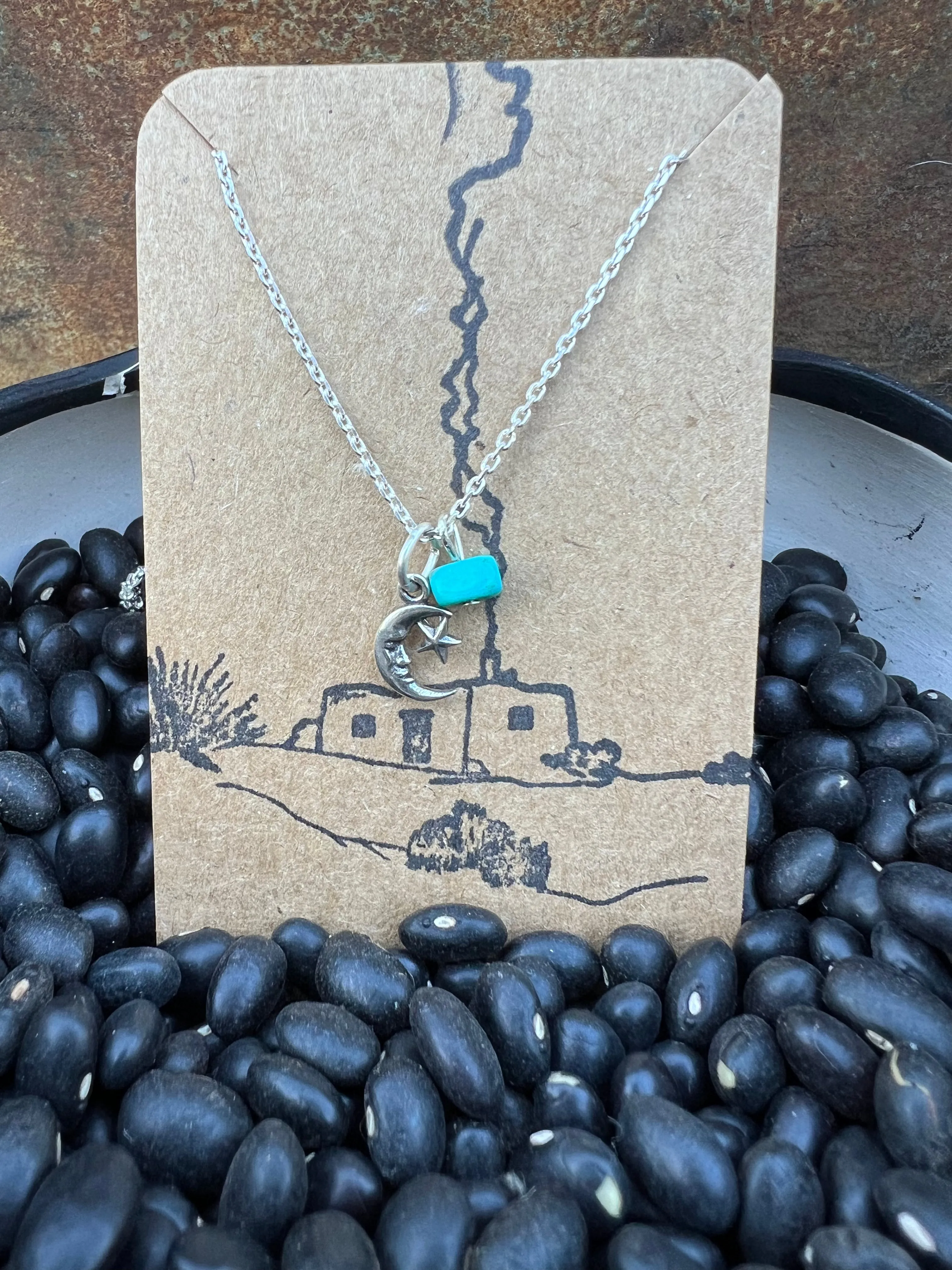 $25 Turquoise Charm Necklace