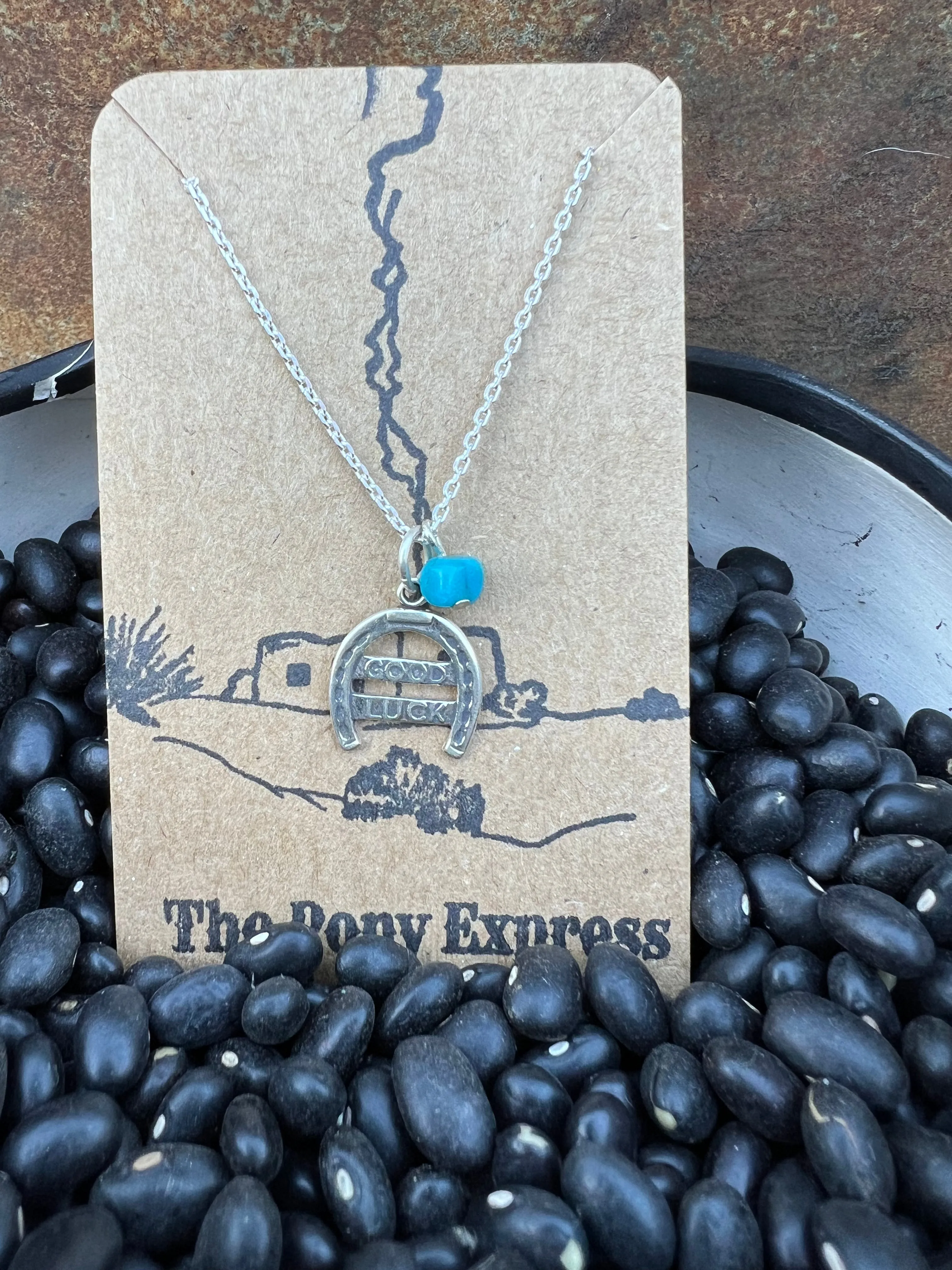 $25 Turquoise Charm Necklace