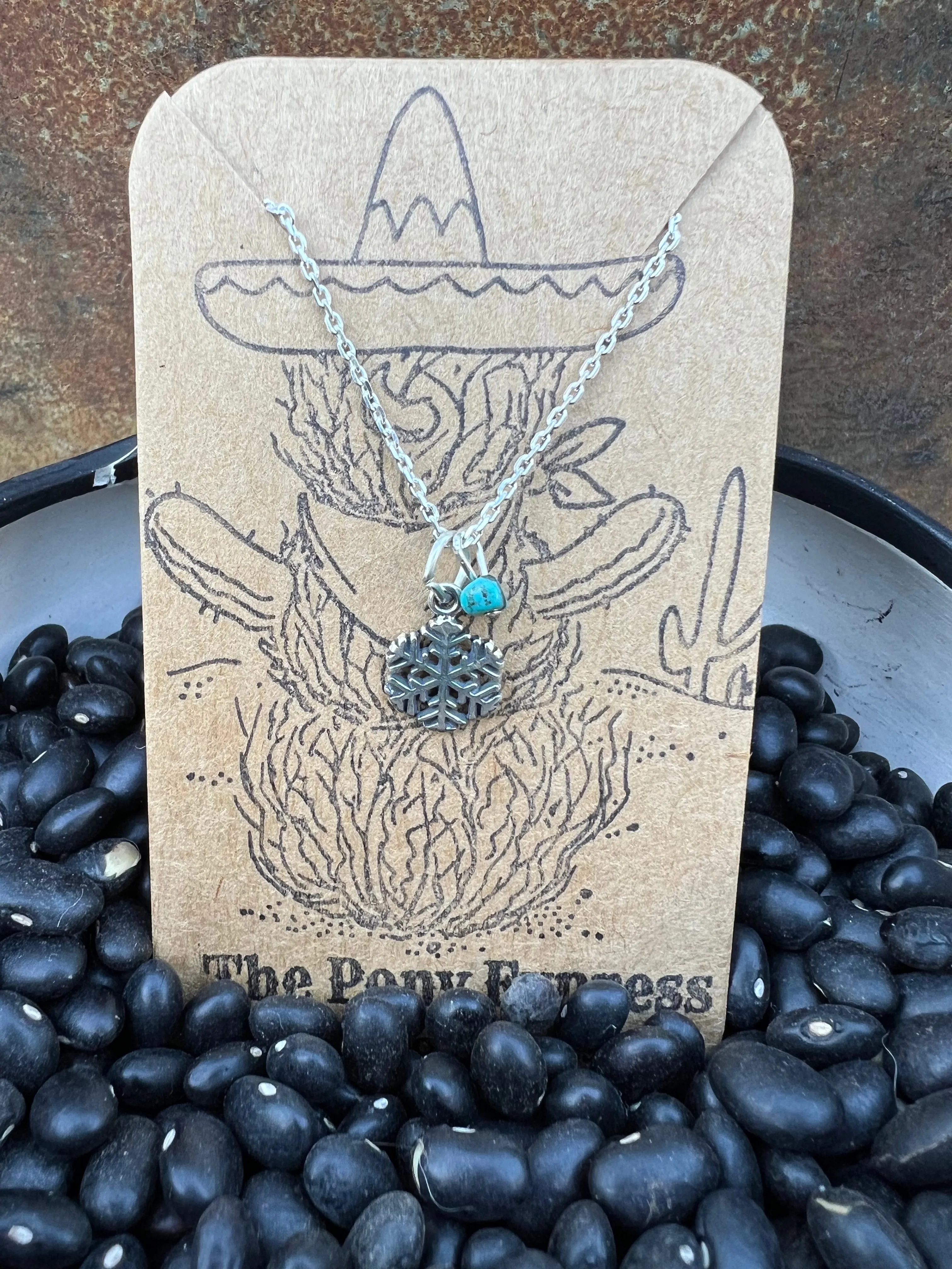 $25 Turquoise Charm Necklace