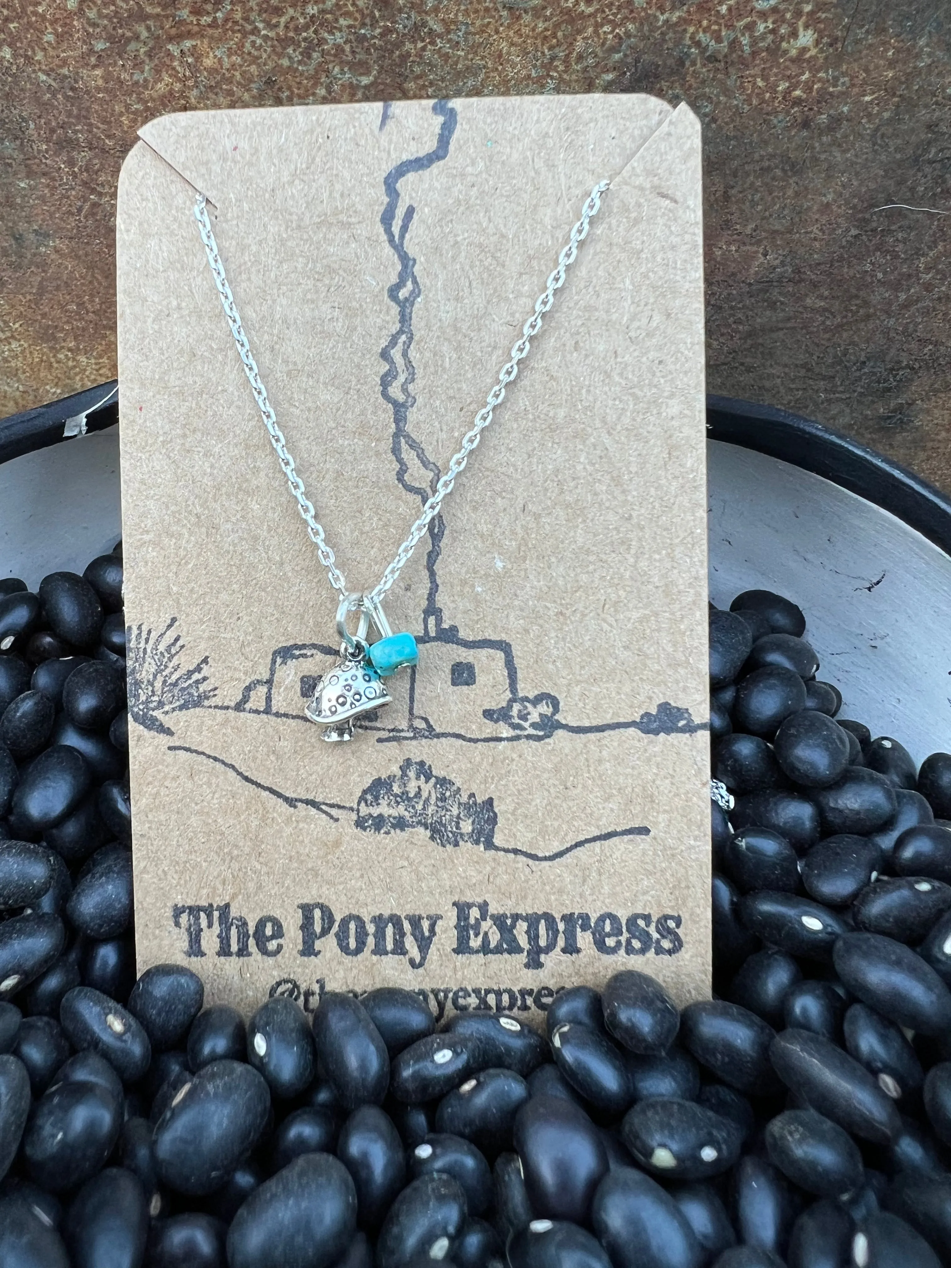 $25 Turquoise Charm Necklace