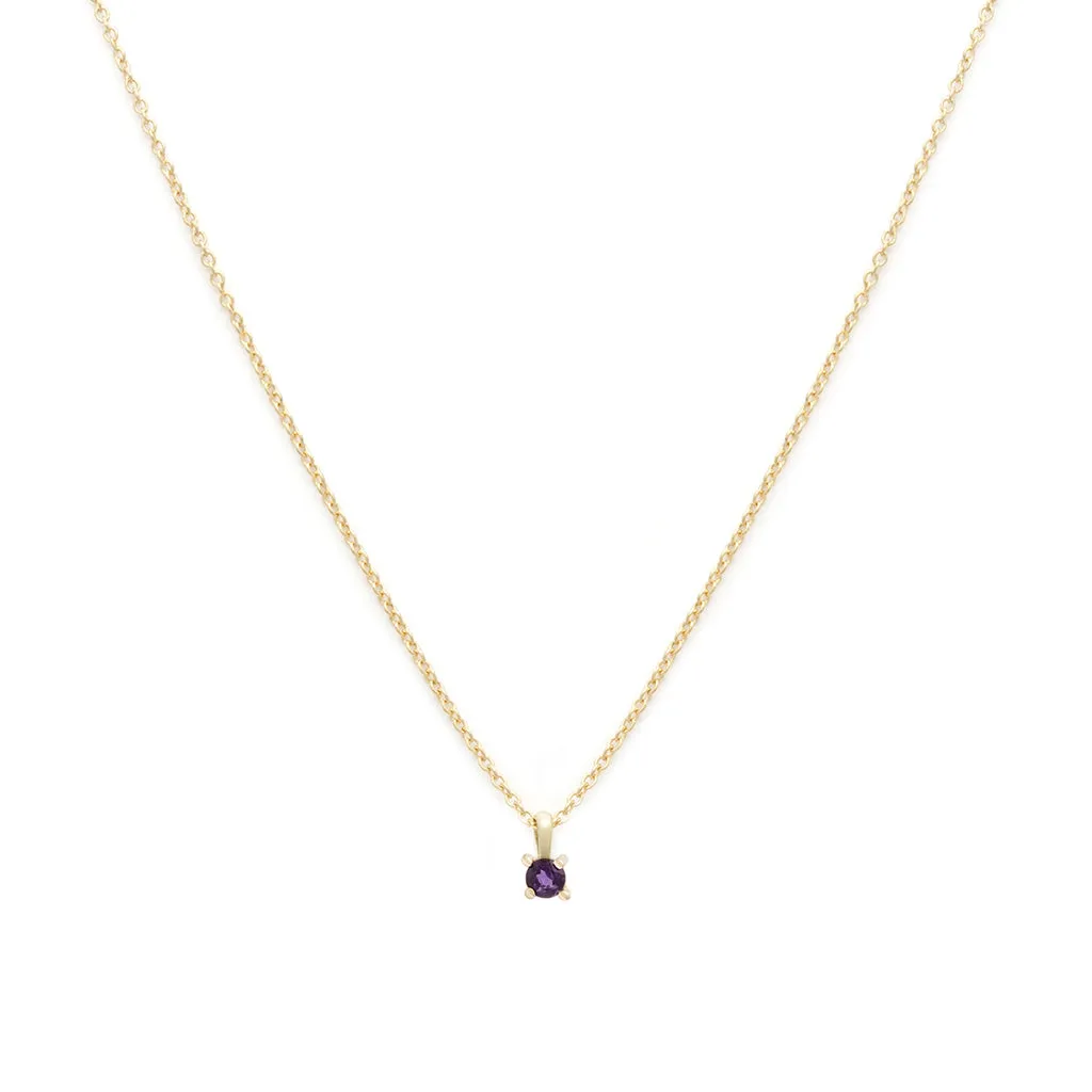 Birthstone Necklace | February