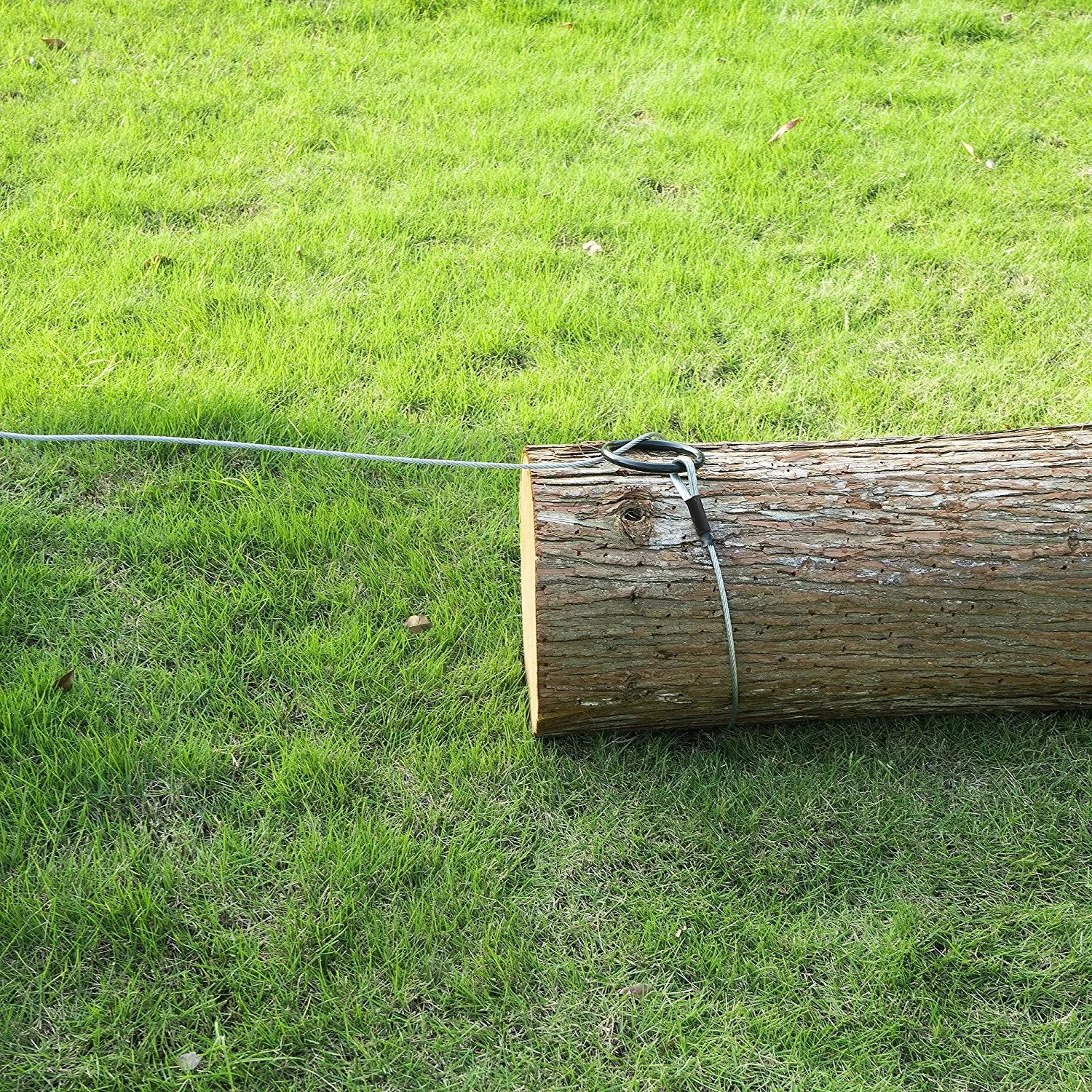 Earth Worth | Log Choker Cable | Toe Ring | 10 Feet