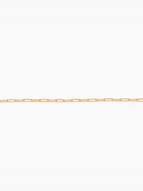 Essential Chain Anklet