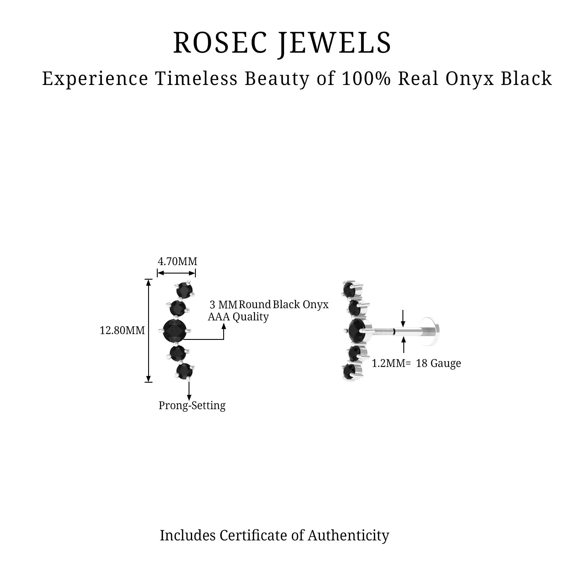 Graduated Style Black Onyx Crawler Earring