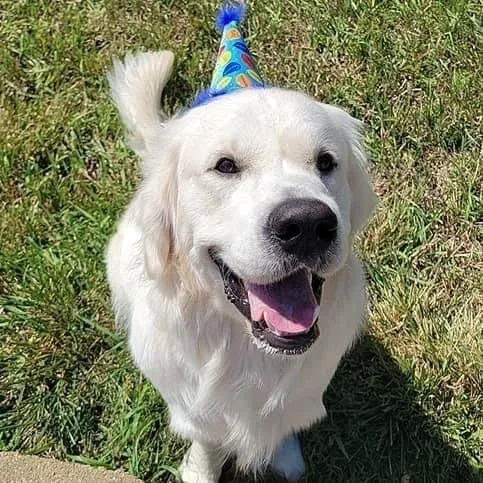 Party Time - Party Hats