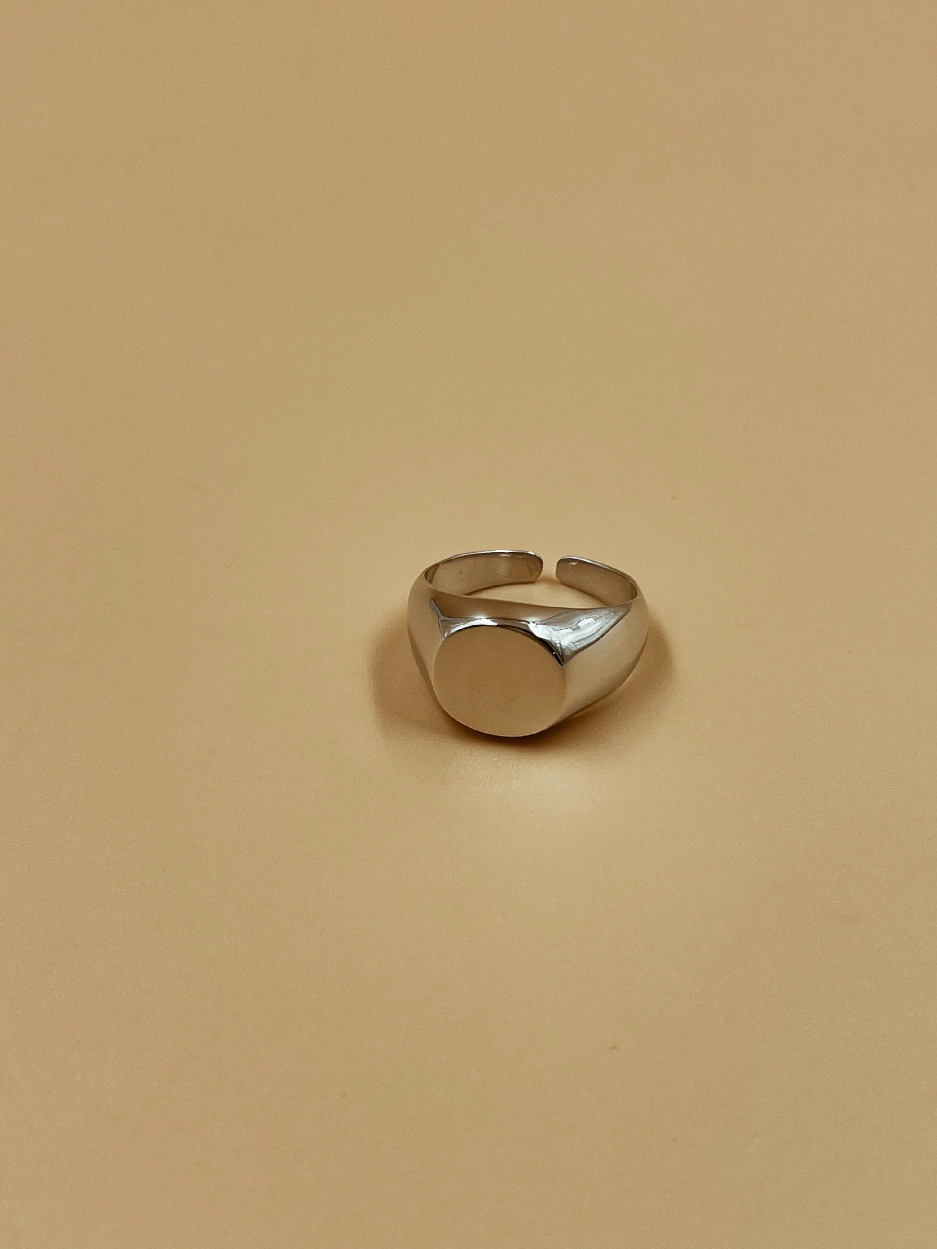 Signet Ring in Silver Tone