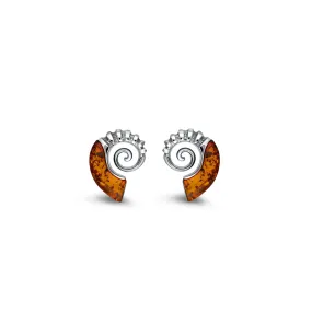 Sterling Silver Dinky Amber Ammonite Stud Earrings