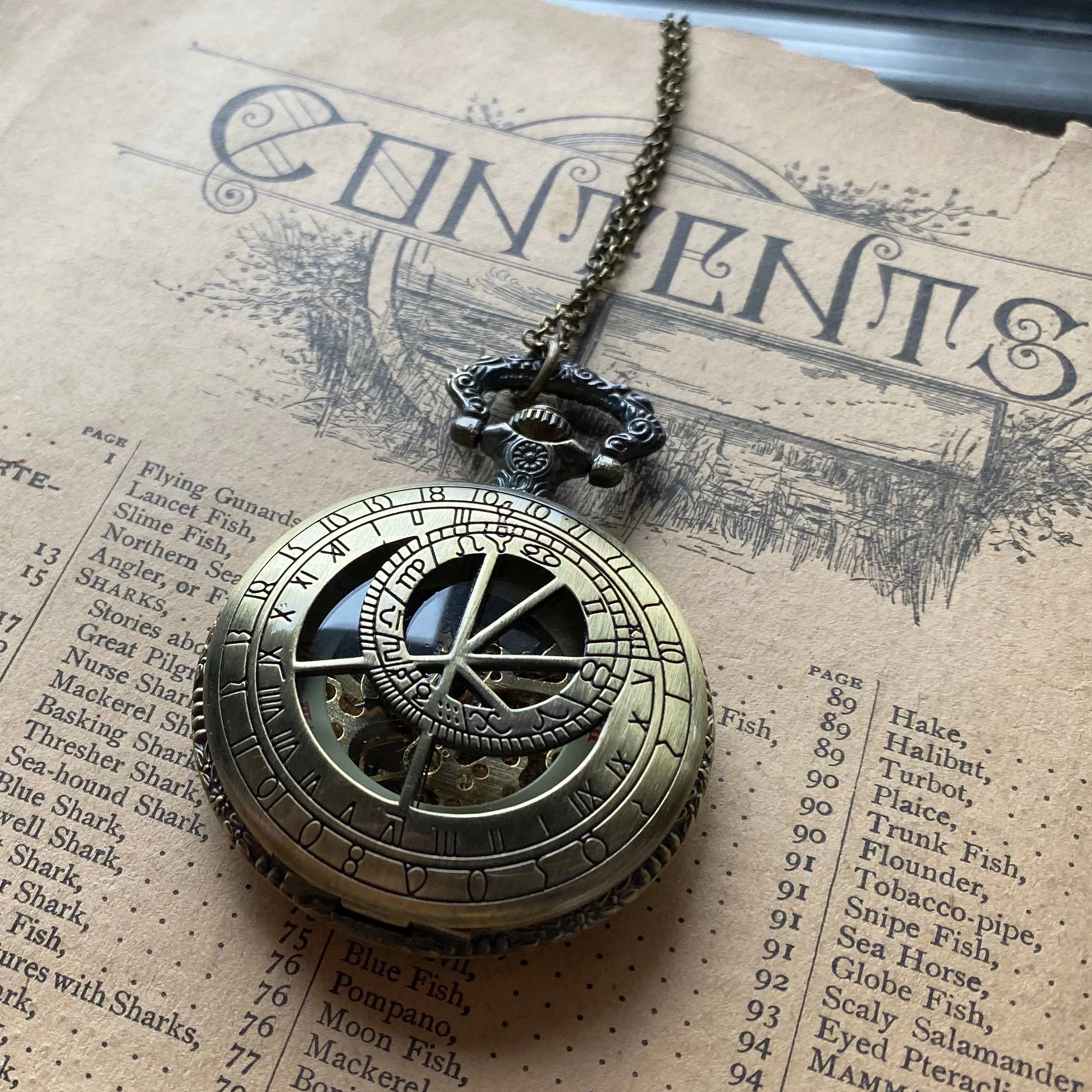 Time Lord Mechanical Pocket Watch - Pocket Chain or Necklace